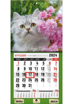 Kalendarz 2024 jednodzielny mini z mag. Kotek