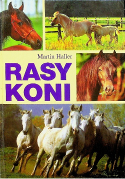 Rasy koni