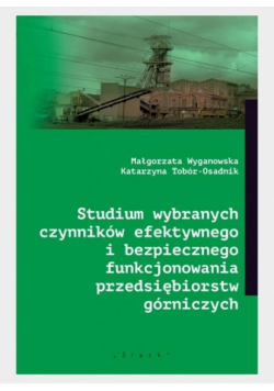 Studium wybranych czynników efektywnego...