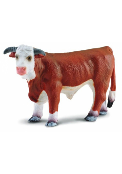 Byk rasy hereford L