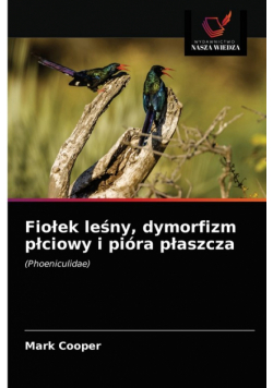 Fiołek leśny, dymorfizm płciowy i pióra płaszcza