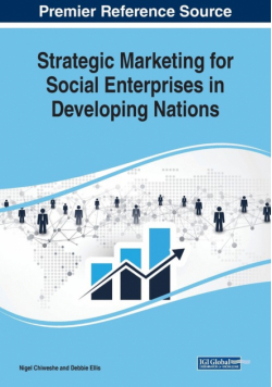 Strategic Marketing for Social Enterprises in Developing Nations