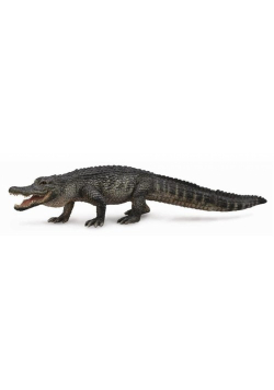 Aligator