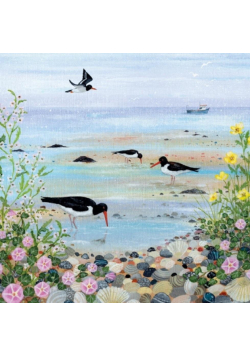 Karnet kwadrat z kopertą Oystercatchers