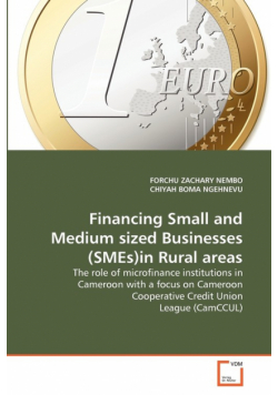 Financing Small and Medium sized Businesses (SMEs)in Rural areas