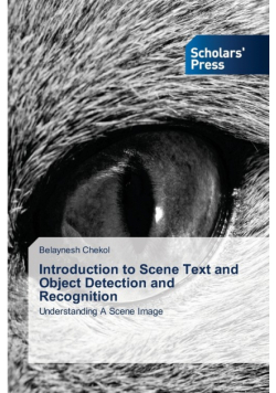 Introduction to Scene Text and Object Detection and Recognition