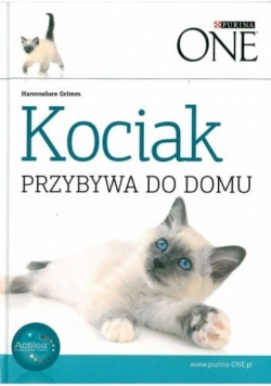 Kociak przybywa do domu