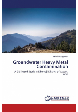 Groundwater Heavy Metal Contamination