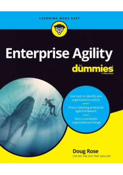 Enterprise Agility FD