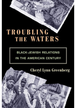 Troubling the Waters