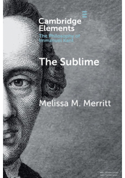 The Sublime