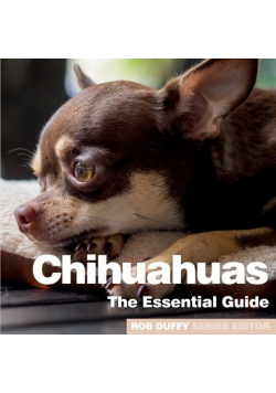 Chichuahuas