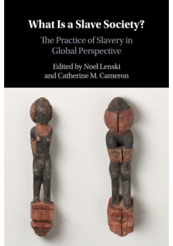 What is a Slave Society?