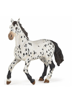 Koń Appaloosa