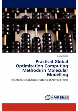 Practical Global Optimization Computing Methods in Molecular Modelling