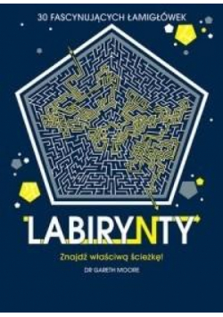 Labirynty. 30 fascynujących łamigłówek