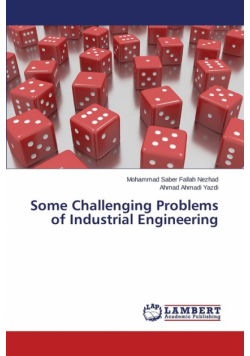 Some Challenging Problems of Industrial Engineering