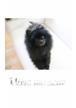 i love my pom Blank page journal