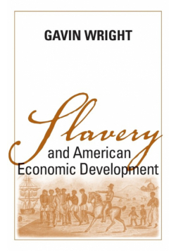 Slavery and American Economic Development