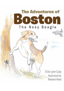 The Adventures of Boston