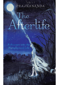 The Afterlife