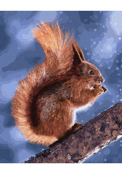 Malowanie po numerach - Mała wiewiórka 40x50cm