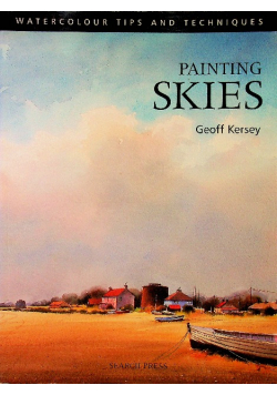 Painting Skies