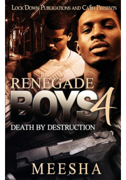 Renegade Boys 4