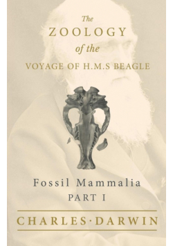 Fossil Mammalia - Part I - The Zoology of the Voyage of H.M.S Beagle ; Under the Command of Captain Fitzroy - During the Years 1832 to 1836