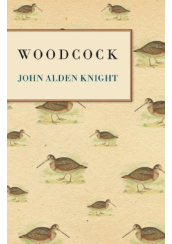 Woodcock
