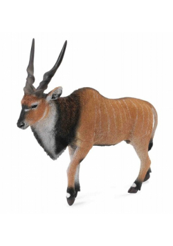 Antylopa wielka Eland XL