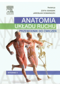 Anatomia układu ruchu Przewodnik do ćwiczeń