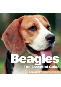 Beagles