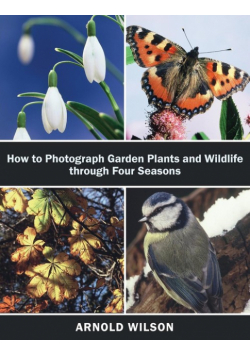 How To Photograph Garden Plants and Wildlife Through Four Seasons