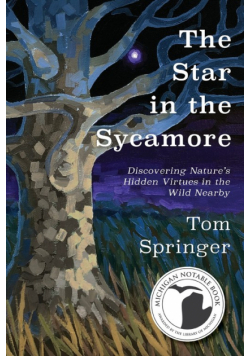 The Star in the Sycamore