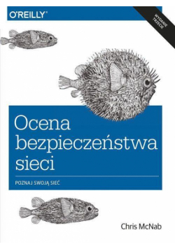 Ocena bezpieczeństwa w sieci w. III