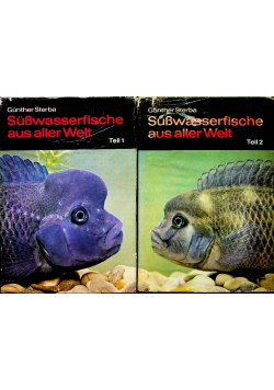 Susswasserfische aus aller Welt teil 1 i 2