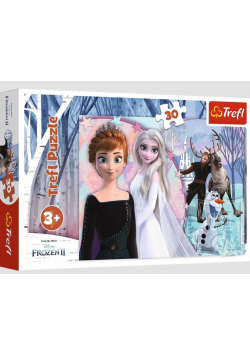 Puzzle 30 Magiczna Kraina Lodu TREFL