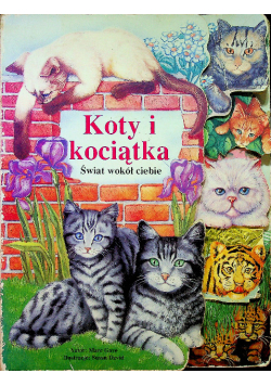 Koty i kociątka Świat wokół ciebie