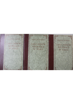 Zarys dziejów reformacji w Polsce tom 1 do 3 reprinty z ok 1905 r