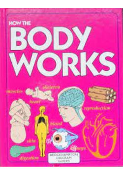 How the Body Works Group