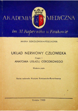 Układ nerwowy człowieka