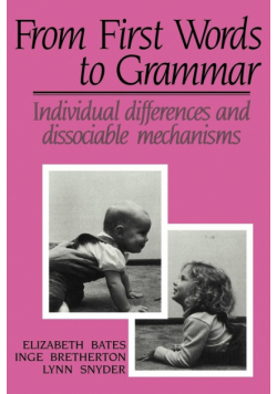 From First Words to Grammar