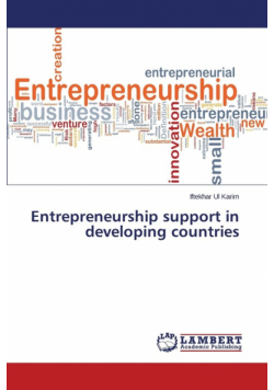 Entrepreneurship support in developing countries