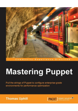 Mastering Puppet