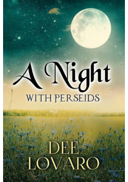 A Night With Perseids
