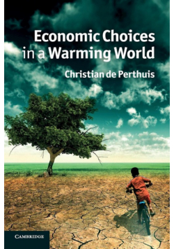 Economic Choices in a Warming World