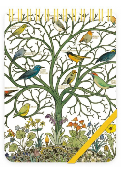 Kołonotes ozdobny Birds of Many Climes