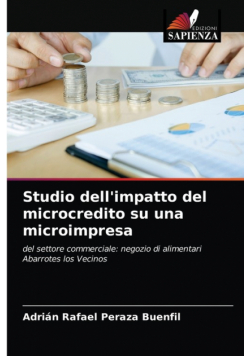 Studio dell'impatto del microcredito su una microimpresa