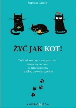 Żyć jak kot